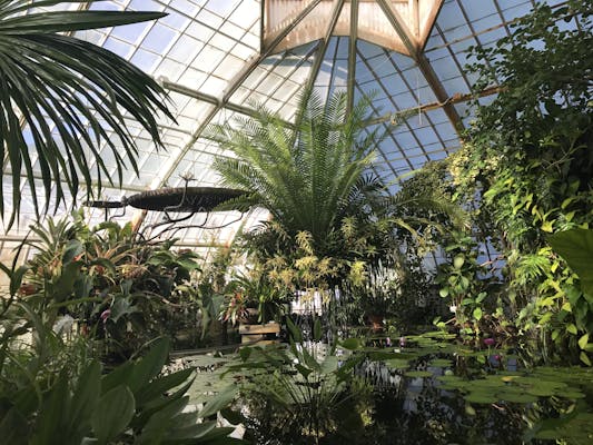 Inside the conservatory.