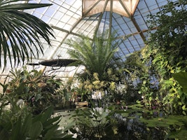 Inside the conservatory.