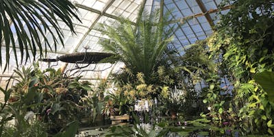Inside the conservatory.