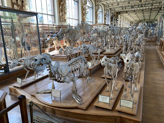 It really does have a lot of skeletons.